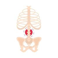 articulação da coluna vertebral reumatismo vetor