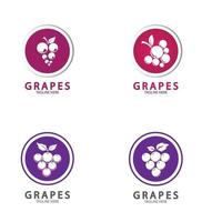 ícone do logotipo de vetor de uvas isolado