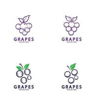 ícone do logotipo de vetor de uvas isolado