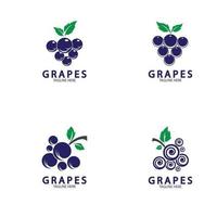 ícone do logotipo de vetor de uvas isolado