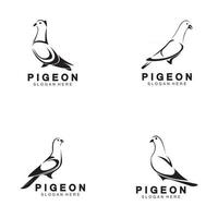 modelo de design de ilustração de ícone de vetor de logotipo de pássaro pombo