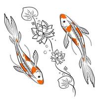 peixes carpas koi com ilustração vetorial de lótus vetor