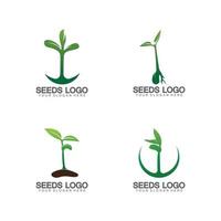 vetor de modelo de logotipo de sementes de plantas