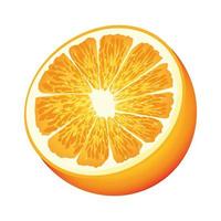 ícone de metade de frutas cítricas laranja vetor