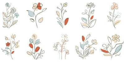 vintage floral mão desenhado botânico flor vetor conjunto coleção agrupar