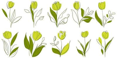 conjunto do tulipa flor mão desenhado formas e rabisco Projeto elementos. exótico selva folhas, flores e plantas. abstrato contemporâneo moderno na moda vetor ilustração. perfeito para cartazes, adesivos