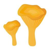 cogumelo chanterelle. elemento para Projeto isolado em branco fundo. vetor