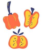 fatias e pimentões vermelhos definir ícone de pimenta vegetais ilustração abstrata ingredientes de cozinha para seu projeto ilustração vetorial de desenho animado estilo plano vetor