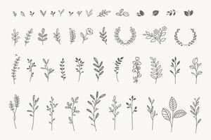 conjunto de elementos florais elegantes para design gráfico e web vetor