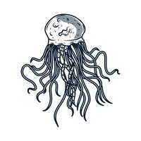 esboço de tentáculos de medusa vetor