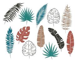 conjunto de ilustrações de folhas de palmeira vetor