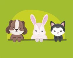 desenho animado animais de estimação coelho gato e cachorro animais domésticos vetor