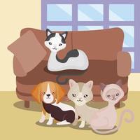 animais domésticos animais gatos fofos e cachorro sofá sala casa vetor