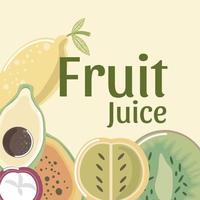 suco de frutas kiwi fresco mamão mangostão abacate vetor