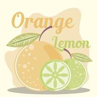 frutas cítricas frescas, limão e laranja vetor