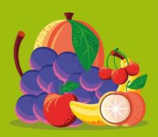 frutas comidas frescas vetor