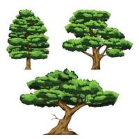 definir ilustração vetorial de três grandes árvores vetor