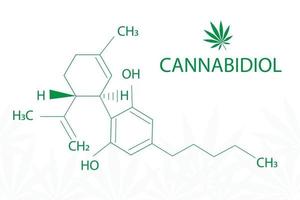 folha de cannabis de sativa com fórmula canabidiol vetor