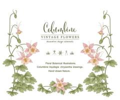 rosa columbine flor vintage mão desenhada ilustrações botânicas modelo de cartão de convite vetor
