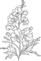 Julho nascimento flor Larkspur desenho, minimalista Julho nascimento flor Larkspur tatuagem, Larkspur Julho flor tatuagem, Julho nascimento flor tatuagem, flor coloração página e livros, monocromático vetor esboço,