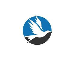 luxo vôo pássaro logotipo Projeto vetor modelo ícone.