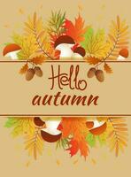 Olá outono. outono folhas com cogumelos . bandeira, cartão postal, poster, vetor ilustração.