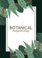 folhas tropicais em moldura quadrada e letras desenho de fundo botânico vetor