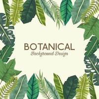 folhas tropicais em moldura quadrada e letras desenho de fundo botânico vetor