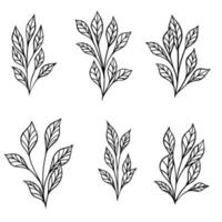 mão desenhado diferente folhas conjunto isolado em branco fundo. vetor