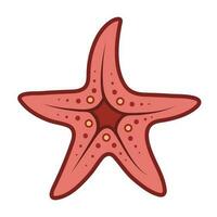 colori vermelho ou Rosa estrelas do mar vetor ícone esboço isolado em quadrado branco fundo. simples plano mar marinho animal criaturas delineado desenho animado desenho.