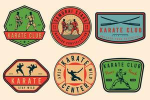 conjunto do vintage karatê ou marcial artes logotipo, emblemas, ícones, e rótulos. monocromático estilo. retro karatê clube Distintivos definir. vetor