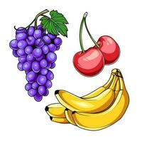fruta para uma saudável estilo de vida vetor