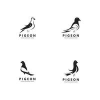 modelo de design de ilustração de ícone de vetor de logotipo de pássaro pombo