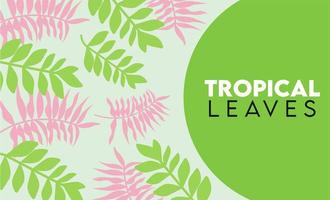 cartaz de letras de folhas tropicais com folhas verdes e rosa vetor