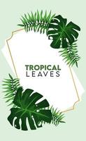 cartaz de letras de folhas tropicais com folhas de palmeira em moldura dourada vetor