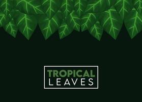 cartaz de letras de folhas tropicais com moldura quadrada de folhas vetor