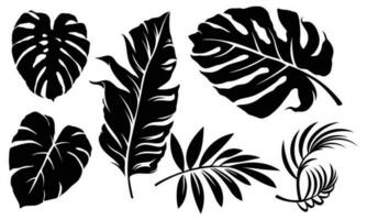 conjunto do Palma folhas silhuetas isolado em branco fundo. vetor eps10 - vetor