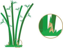 bambu ícone definir. vetor ilustração do verde bambu isolado em branco fundo.