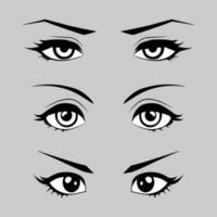 conjunto do fêmea olhos com sobrancelhas dentro animê estilo. vetor