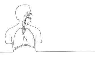 humano respiratório sistema contínuo linha desenhando arte. abstrato simples pulmões. 1 linha contínuo esboço isolado vetor ilustração.