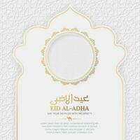 eid al-adha islâmico cumprimento cartão com ornamental pensionista foto quadro, Armação vetor