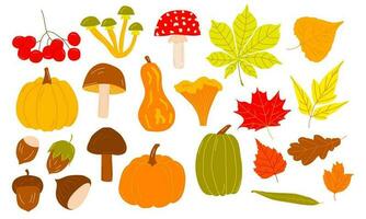 vetor conjunto do outono ícones. brilhante fundo para colheita tempo. página de recados coleção do outono estação elementos. outono cumprimento cartão
