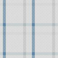 escocês tartan desatado padronizar. tabuleiro de damas padronizar para camisa impressão, roupas, vestidos, toalhas de mesa, cobertores, roupa de cama, papel, colcha, tecido e de outros têxtil produtos. vetor