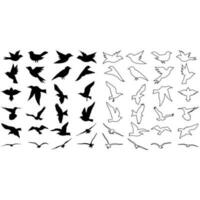 pássaros ícone vetor definir. animais ilustração placa coleção. natureza símbolo.