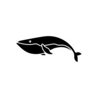 bebê baleia ícone vetor. baleia ilustração placa. esperma baleia símbolo. mar vida logotipo. vetor