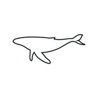 baleia ícone vetor. esperma baleia ilustração placa. peixe símbolo. oceano logotipo. vetor