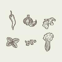 ervas e especiarias mão desenhado vetor ilustração. mão desenhado Comida esboço. vintage ilustração. aromático plantas. cartão Projeto. esboço estilo. especiaria e ervas Preto e branco Projeto