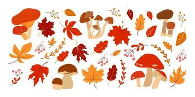 outono ilustração conjunto com cogumelos e folhas em branco fundo. feliz colheita. vetor