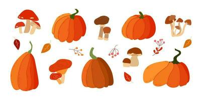 outono ilustração conjunto com cogumelos e abóboras. outono conjunto vetor