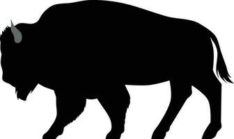 americano búfalo Preto silhueta, isolado em branco vetor